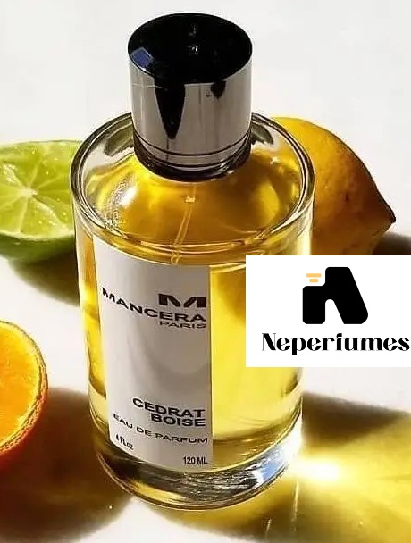 Mancera-Cedrat-Boise Intense